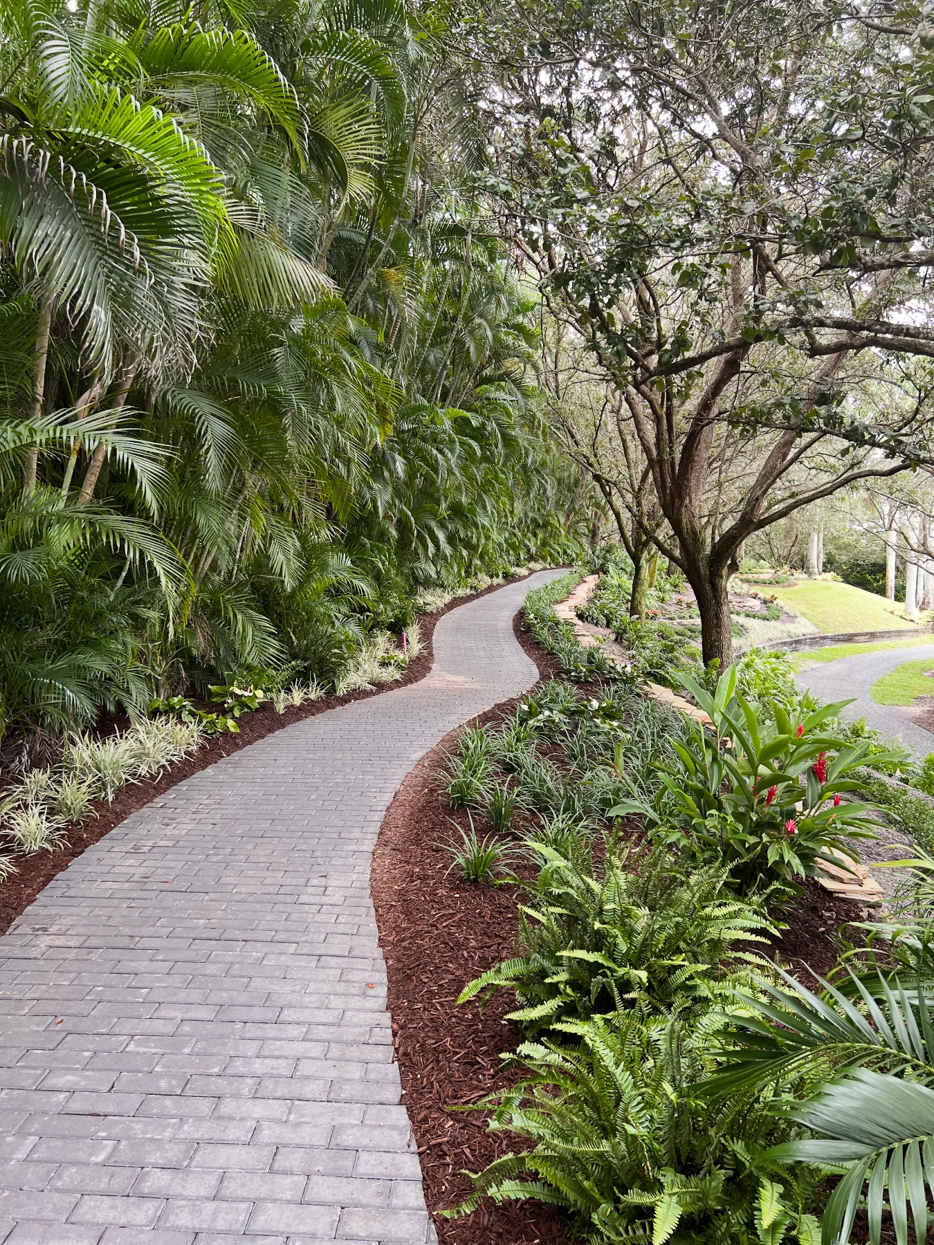 Conservation at Le Rivage